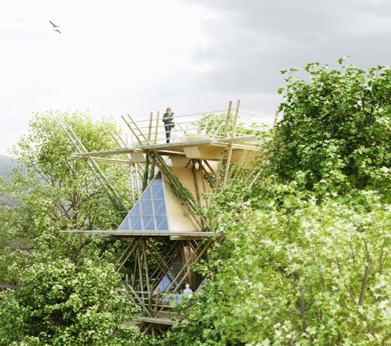 Экологичный многоэтажный бамбуковый дом