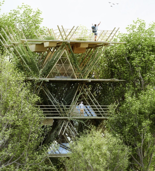 Дизайн вертикального бамбукового дома