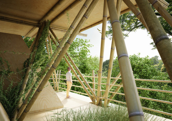 Бамбук в конструкциях дома