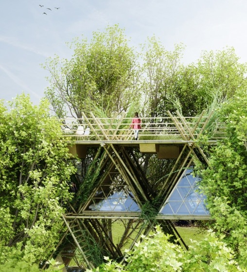 Дизайн дома с бамбуковыми лозами