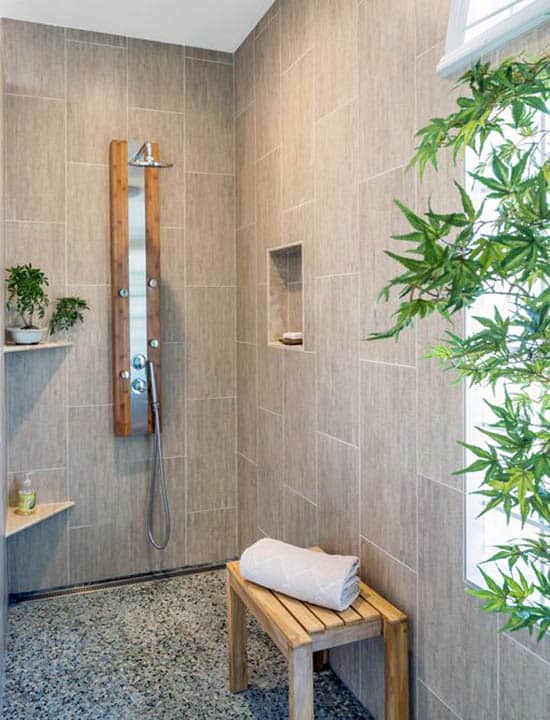 Спа-душ в ванной комнате с комнатными растениями